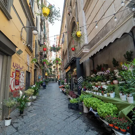 A Pochi Passi Da Piazza Del Gesu By Wonderful Italy Apartment *